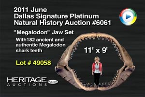 Giant shark jaw for Heritage Auctions' June 2011 sale